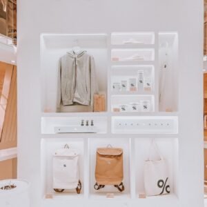 Mini San Pedro Cactus